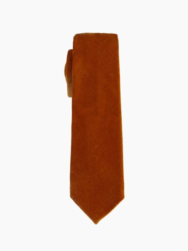 Autumn Blaze Burnt Orange Velvet Tie Set