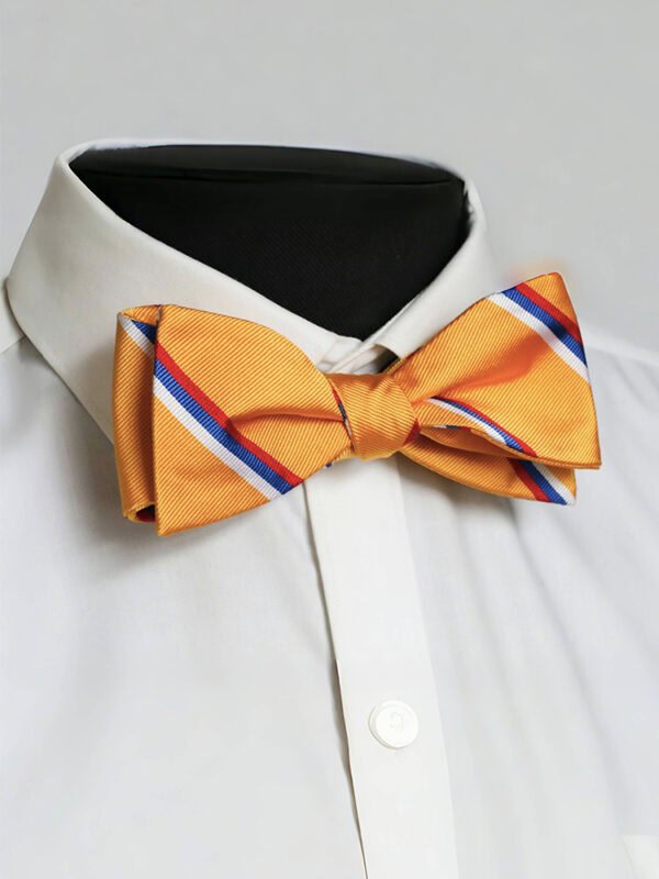 ORANGE AND WHITE SILK SELF-TIED BOW TIE