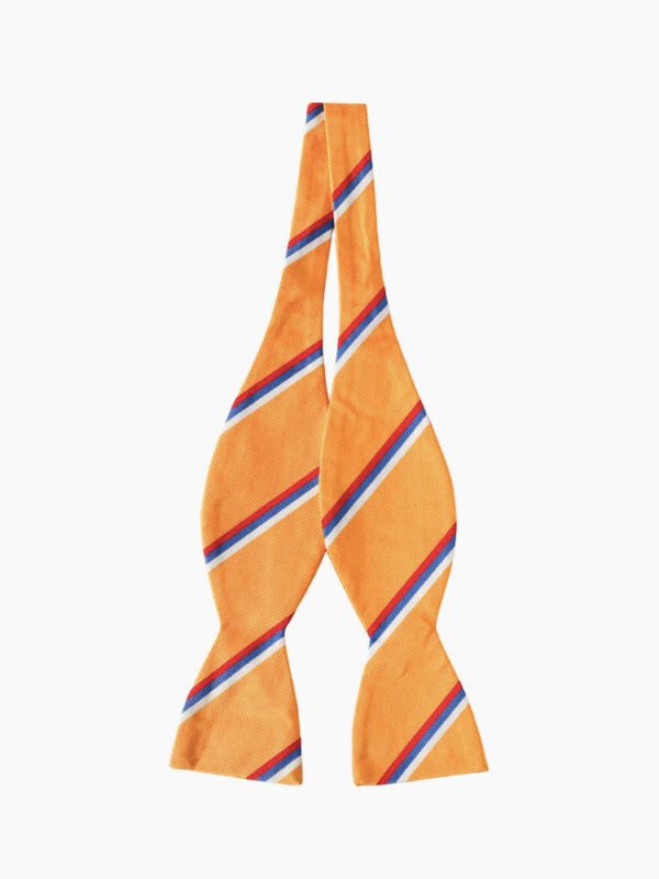 ORANGE AND WHITE SILK SELF-TIED BOW TIE