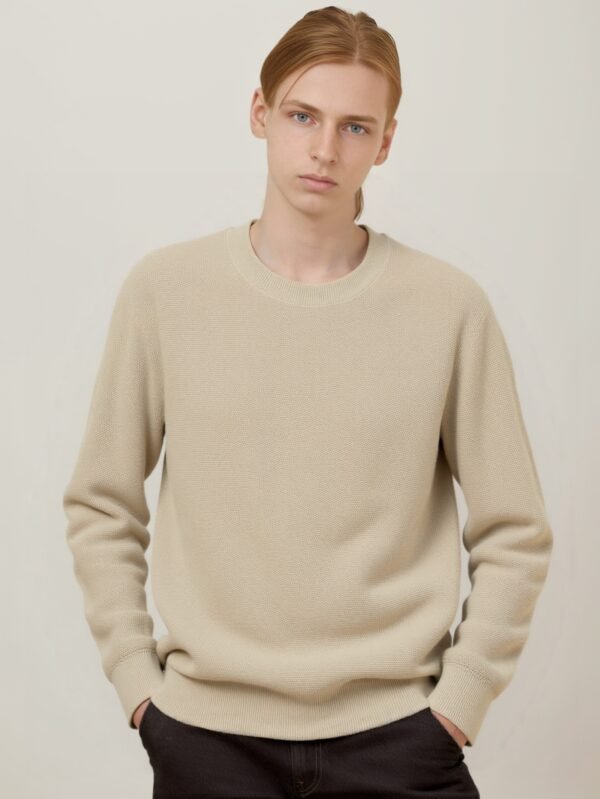 MEN'S CREW - NECK KNIT SWEATERS